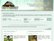 Tablet Screenshot of domkiwbialowiezy.pl